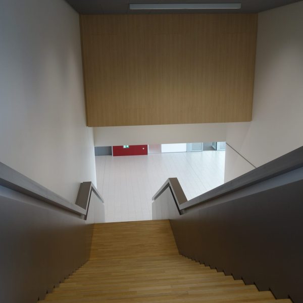 renovation-PARC-Saint-FIACRE-CHATEAU-GONTIER renovation-PARC-Saint-FIACRE-CHATEAU-GONTIER